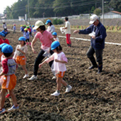 菜の花プロジェクト