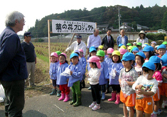 菜の花プロジェクト