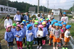 菜の花プロジェクト